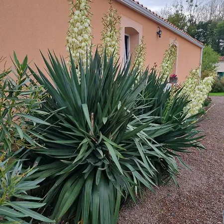 Le Logis Du Marais Bed & Breakfast