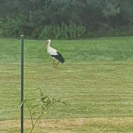 Alojamento de Acomodação e Pequeno-almoço Le Logis Du Marais Les Magnils-Reigniers