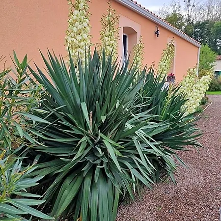 Le Logis Du Marais 3* Les Magnils-Reigniers