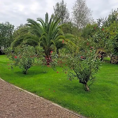 Le Logis Du Marais Bed & Breakfast Les Magnils-Reigniers