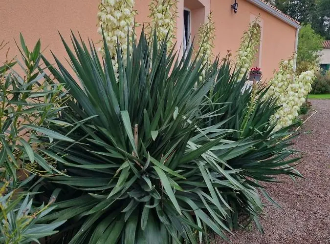 Le Logis Du Marais B&B